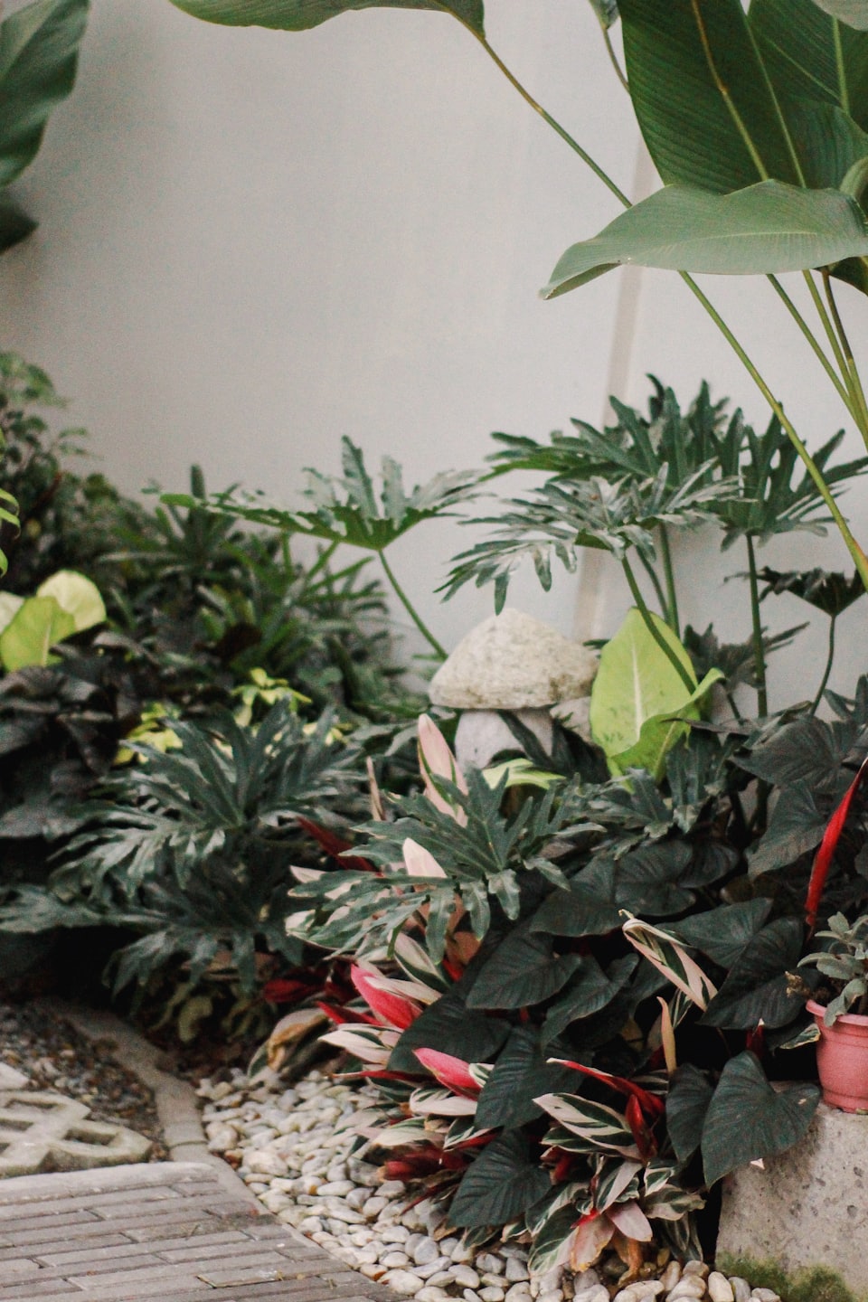 Galeria B592789444f7b17b6be41b907d4a67d8a57ca284