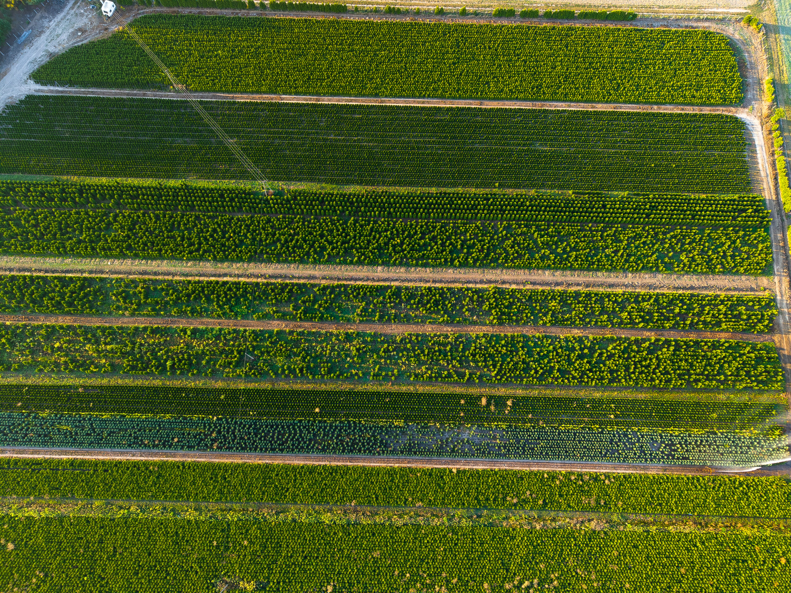 dji 20250901182048 0069 d dji 20250901182048 0069 d